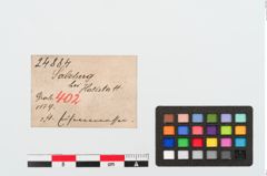 Etiketten zu Eisengriffangelmesser (NHMW-PRAE-024884)